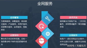 全網(wǎng)數(shù)商 產(chǎn)業(yè)互聯(lián)網(wǎng)創(chuàng)新典范，引領(lǐng)電商技術(shù)服務(wù)新紀(jì)元